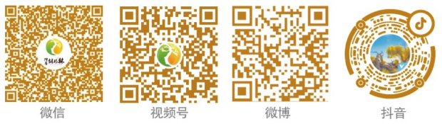 Honeyview_QQ截图20230705115201.jpg Honeyview_QQ截图20230705115201.jpg