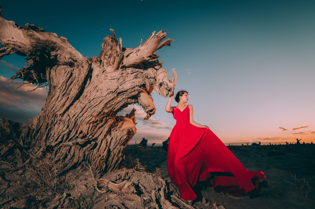 Honeyview_伊吾红裙-祁军 (鸣谢老布.jpg Honeyview_伊吾红裙-祁军 (鸣谢老布.jpg