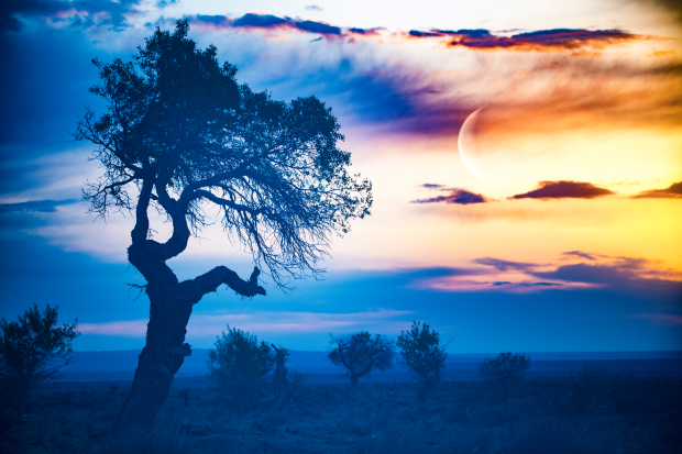 Honeyview_《梦幻世界》杨金花 .jpg Honeyview_《梦幻世界》杨金花 .jpg