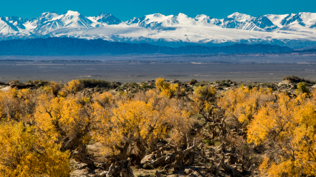 Honeyview_熊九龄.jpg Honeyview_熊九龄.jpg