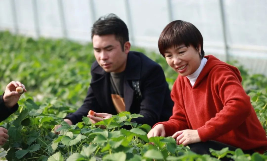 Honeyview_image011.jpg Honeyview_image011.jpg