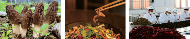 ΢�Ž�ͼ_20250820101414 (2).jpg